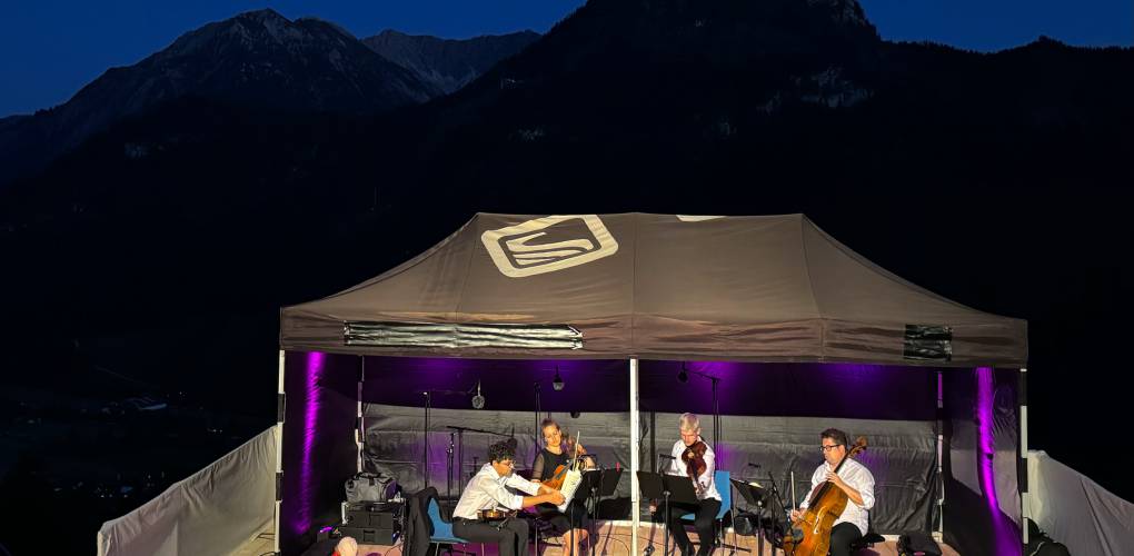 20527089