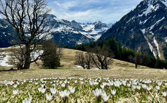 Our Tips for Spring in the Allgäu