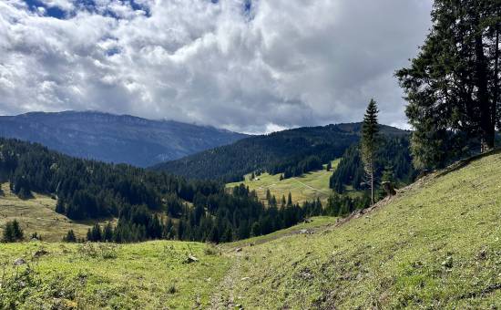 Kleine Tour zum Beßler mit Freyburger Alpe