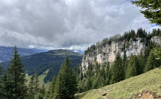 Kleine Tour zum Beßler mit Freyburger Alpe
