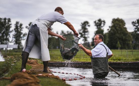 Tradition trifft Leidenschaft: Die Fischzucht der Familie Link im Allgäu