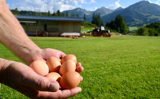 Hubert Landerer – Biobauer aus Überzeugung