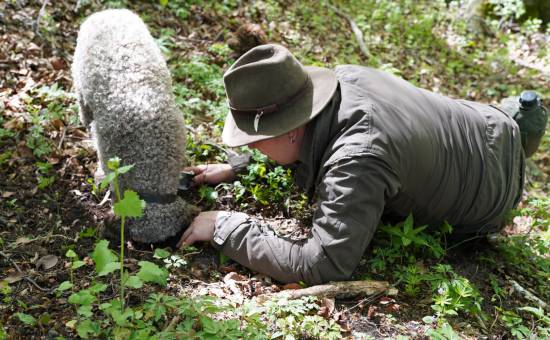 Gourmet & Meer – Trüffelleidenschaft aus dem Allgäu