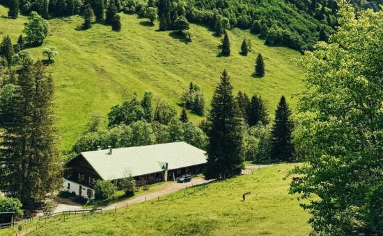 Radtour von Bad Hindelang zur Alpe Mitterhaus – direkt ab Hotel