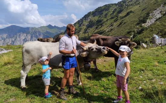 Mit Herz, Hörnern und Heimatverbundenheit – der Hof der Familie Müller