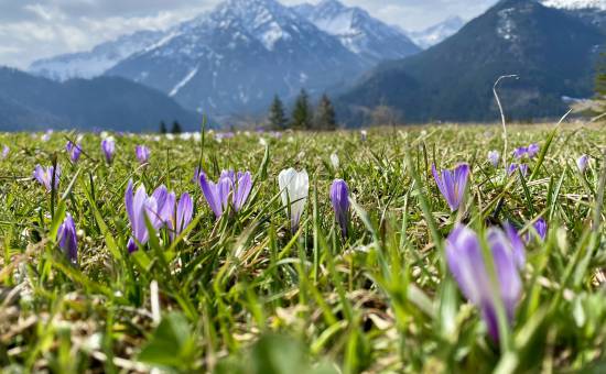 SHORT HIKE TO CAFÉ POLITE