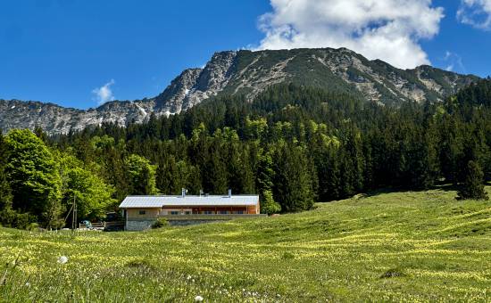 Wanderung zur Ochsenalpe bei Bad Hindelang über das Wildbachtobel