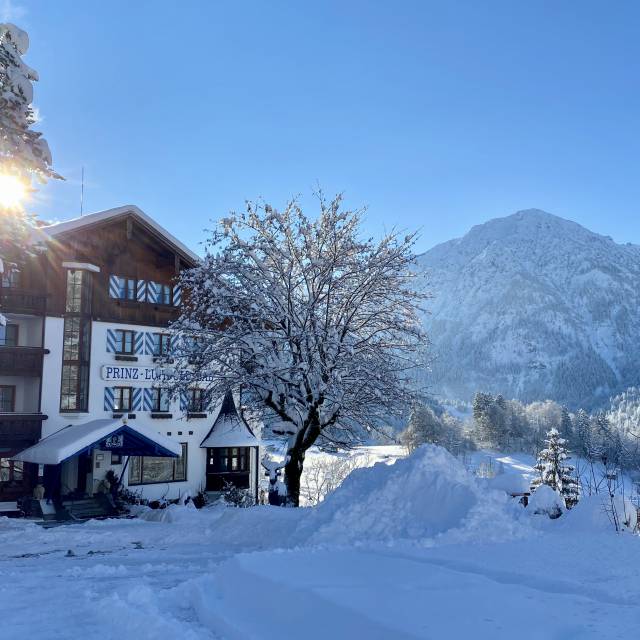 Hotel Prinz-Luitpold-Bad mit Berglandschaft