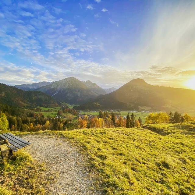 Wanderweg mit Bank im Morgenlicht im Allgäu