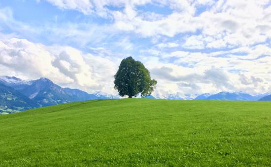 Ein Frühlingstag auf der Wittelsbacher Höhe