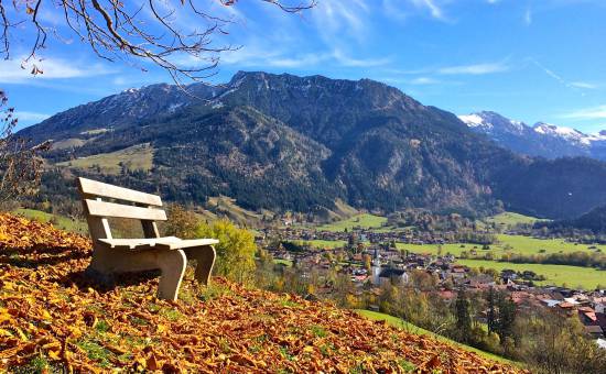 Sonnenverwöhnt auf der Luitpoldhöhe
