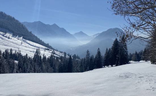 Rodeln von Oberjoch zum Hotel Prinz-Luitpold-Bad