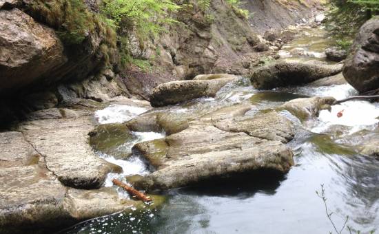 Starzlachklamm: Wild und ursprünglich