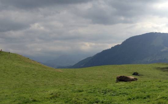 Juget Alpe bei Immenstadt