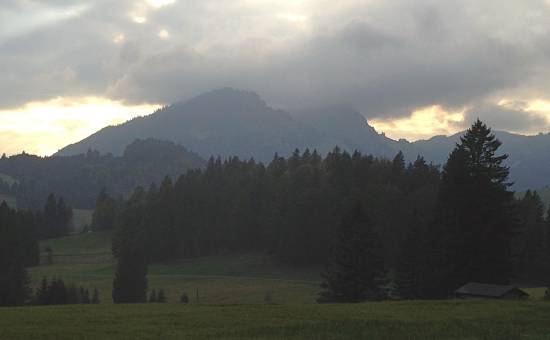 Hirsche hören in Rehbach