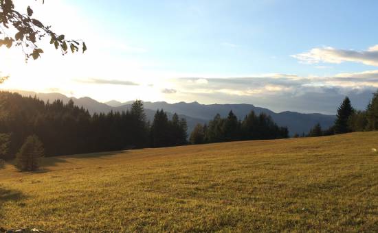 Straußbergalpe: Ein Hochtal zum Träumen