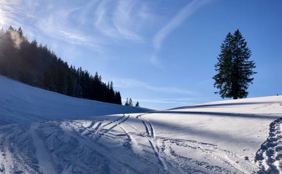Winterwandern am Ofterschwanger Horn