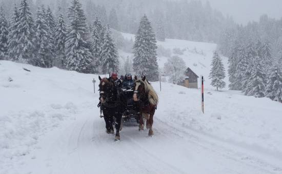 Märchenhafte Kutschfahrt