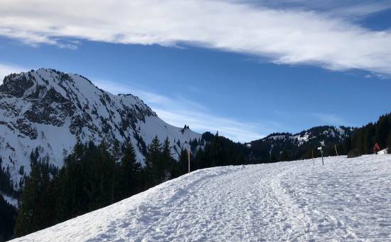 Buchelalpe mit Rodeln