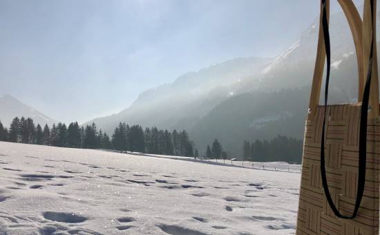 Adlerhorst - Rodeln im Tannheimer Tal