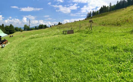 Über das Steigbachtobel zur Alpe Hochried