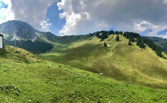 Mittlere Stuibenalpe im Tannheimer Tal