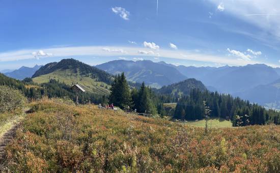 Über Bad Hindelang - Alpe Klank