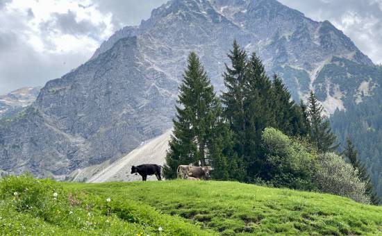Wanderung über die Sonnenköpfe