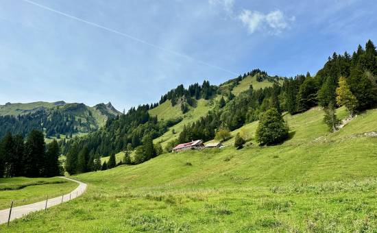 Rad- und Wandertour zur Laufbichl-Alpe