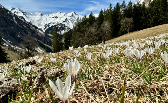 Im Paradies auf der Schwarzenberghütte