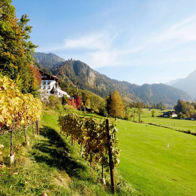 Weinberg Hotel Prinz-Luitpold-Bad, Bad Hindelang